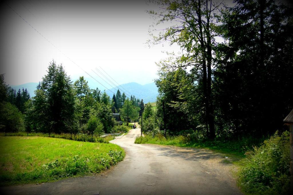 Willa Widokowa Закопане Екстериор снимка